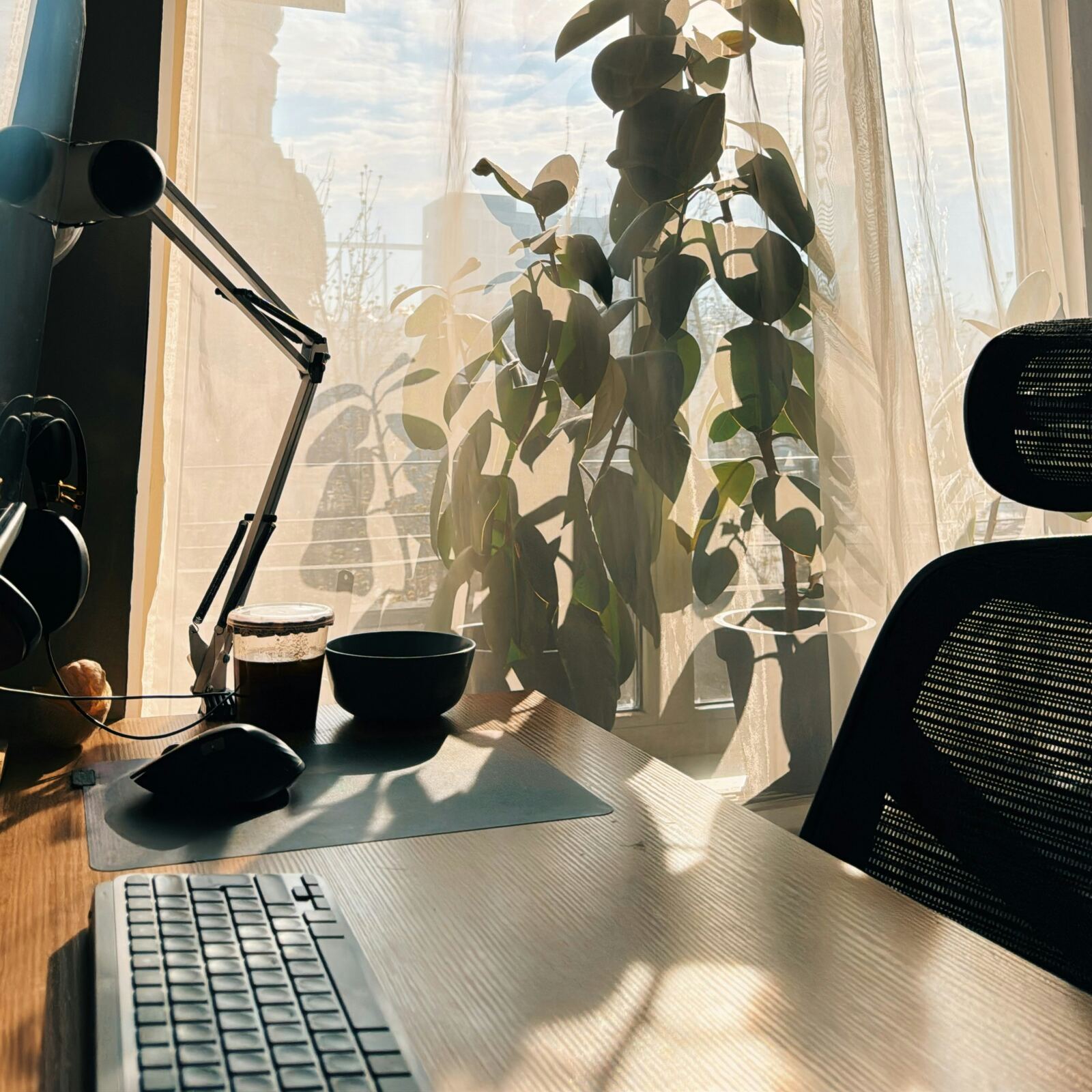Escritorio con luz cálida de ventana, planta y teclado